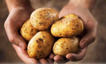 santé pomme de terre