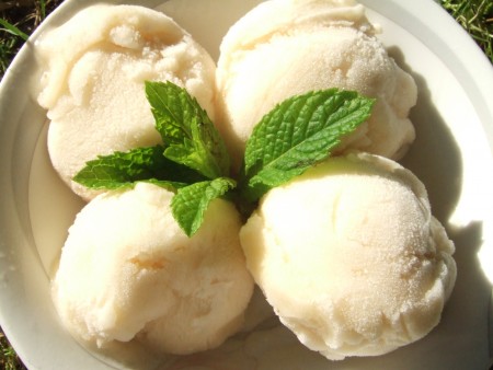 sorbet poires