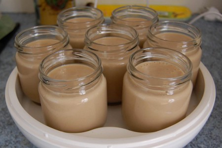 Yaourt au spéculoos